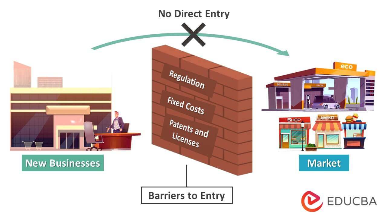 Barriers to Entry Meaning, Examples, Types, Importance