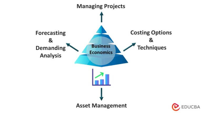 Business Economics: Definition, Objective, Examples, Scope