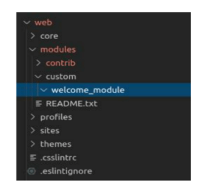 Drupal Custom Module