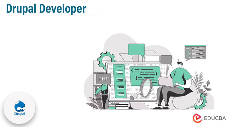 Drupal Developer