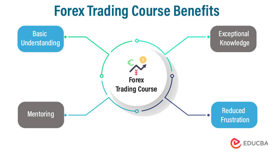 forex trading online book