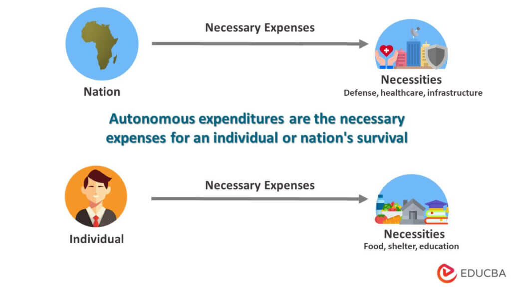 Autonomous Expenditure Meaning Examples Factors Slope