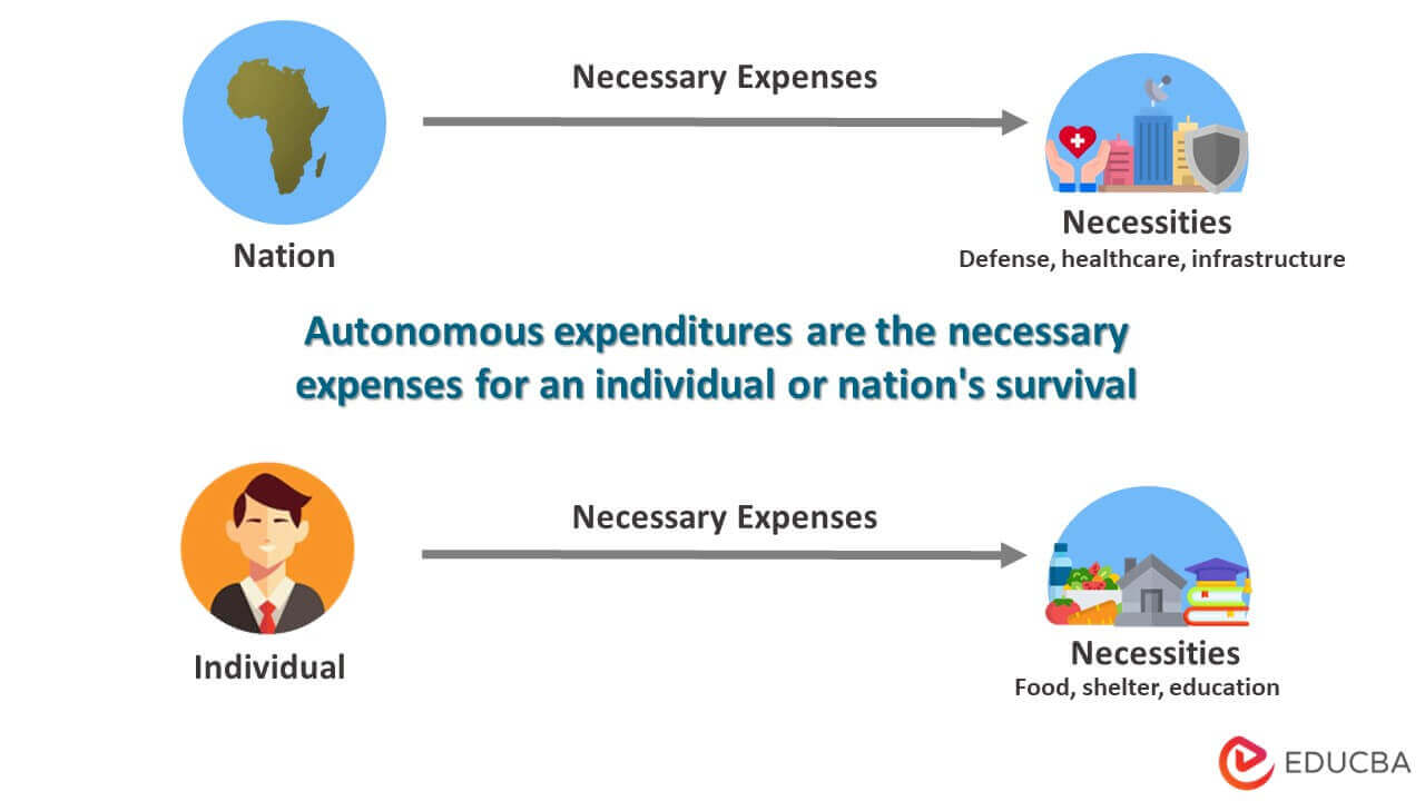 Autonomous Expenditure | Meaning, Examples, Factors & Slope