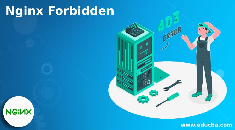 Nginx Forbidden How To Fix Nginx 403 Forbidden Error 