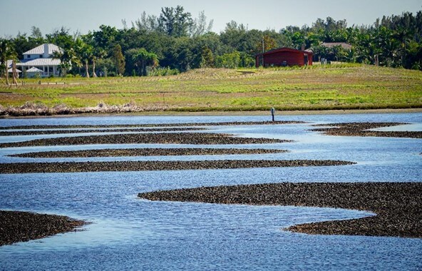 Kamakou Preserve