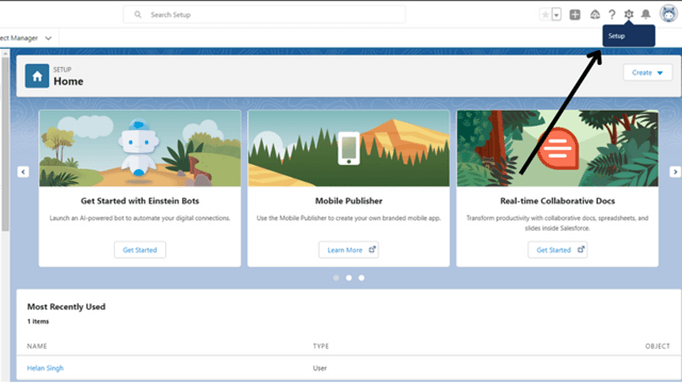 Salesforce REST API Website