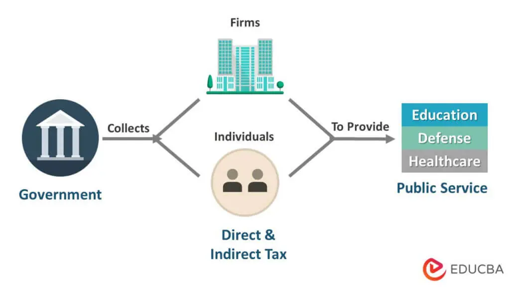 taxation-definition-real-examples-principles-types