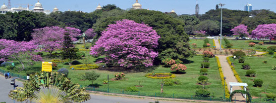 Places to visit in Bangalore - Cubbon Park