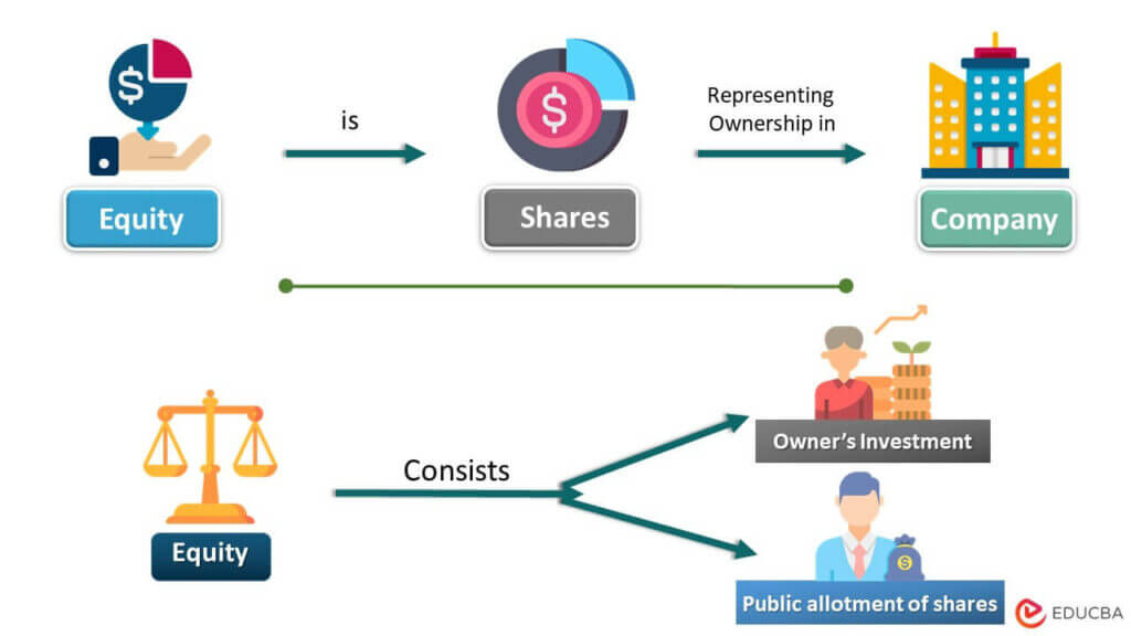 Equity: Meaning, Types, Importance & Value Calculator | EDUCBA