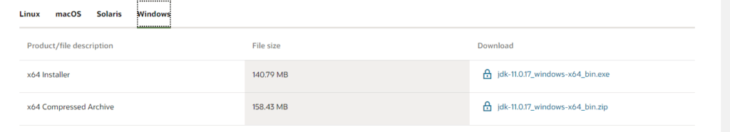Java 11 Windows | Java 11 Downloads for Windows | Installation