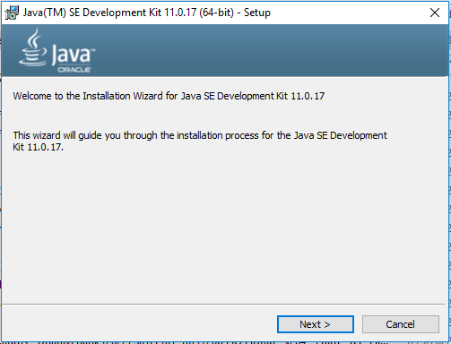 Java 11 Windows 8
