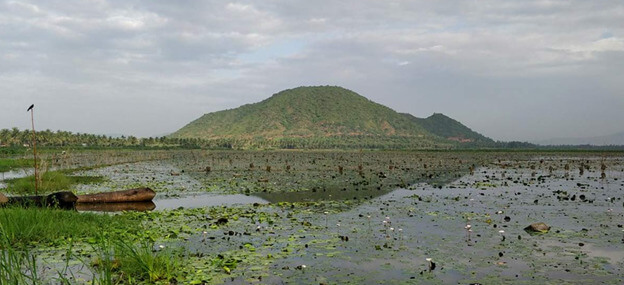 Tourist Places in Vizag - Kondakarla Bird Sanctuary