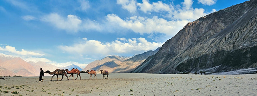 Places to Visit in Leh Ladakh - Nubra Valley