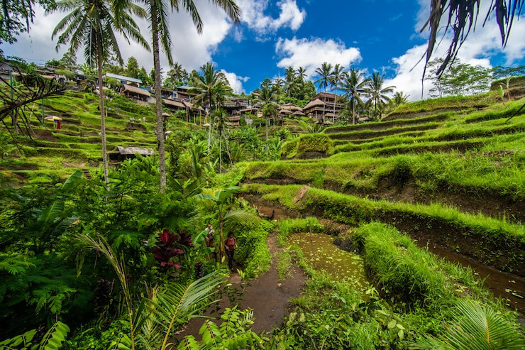 Places to Visit in Bali 3