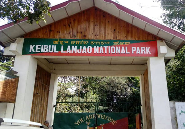 The Famous Keibul Lamjao National Park
