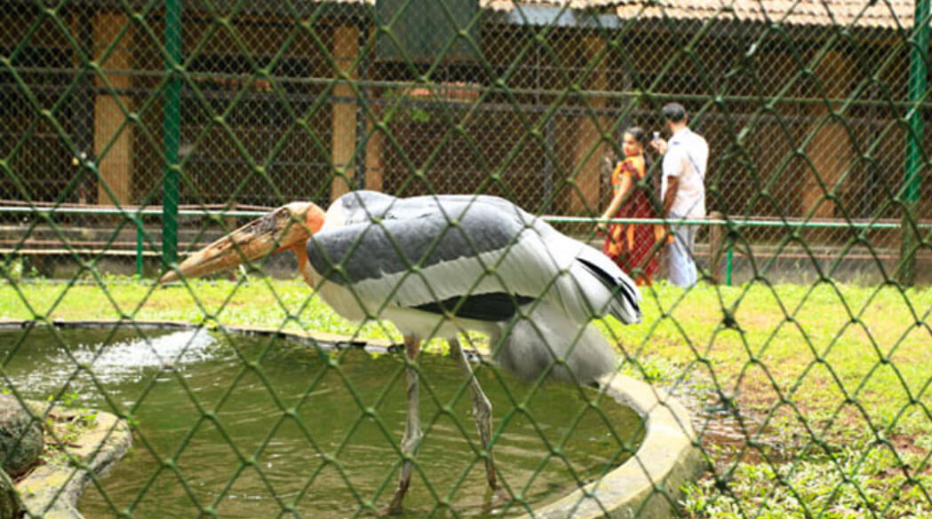Tourist Places in Thrissur 5