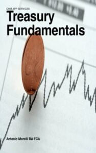 Treasury Fundamentals