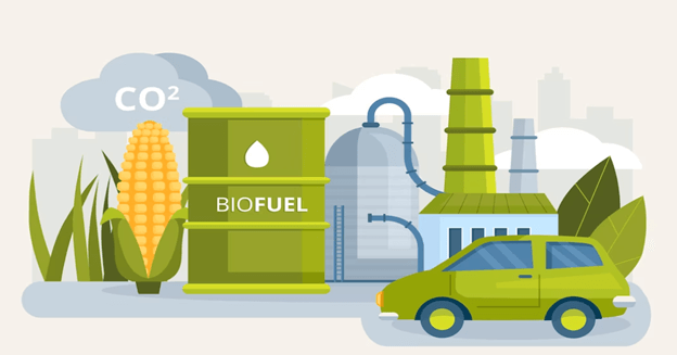 Advantages and Disadvantages of Biomass Energy 