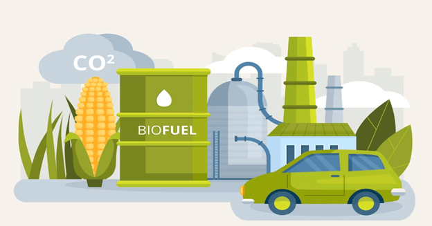 biomass energy pictures