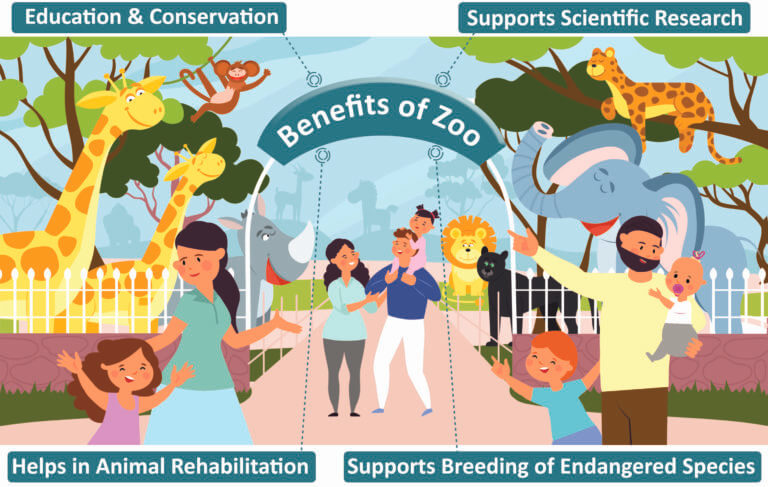 Essay on Zoo | Benefits, Problems, Future, Types of Animals in Zoos