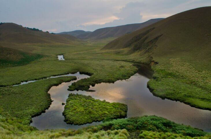 Eravikulam National Park