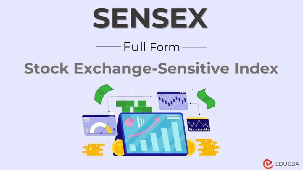 Full Form Of Senpanies List Purpose Advantages And Working 6211