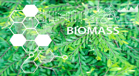 Future of Biomass Energy