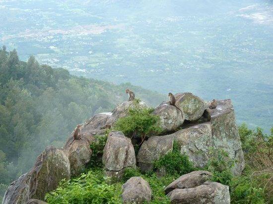 Tourist Places in Yercaud-Lady's Seat