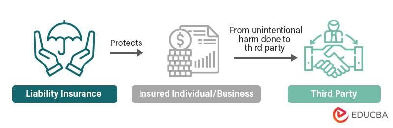 Liability vs Full Coverage Insurance 