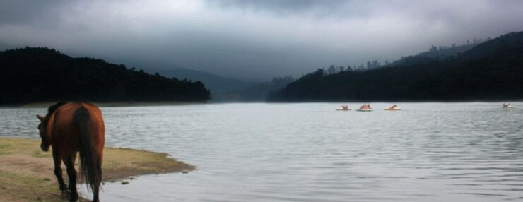 Mattupetty Dam