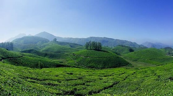 Tourist Places in Thalassery - Munnar