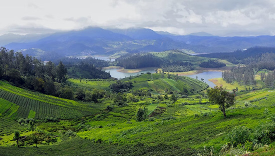 Best Places to Visit in September - Ooty