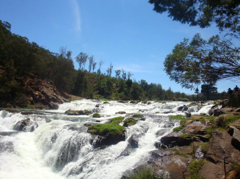Tourist Places in Masinagudi - Pykara Lake and Waterfall