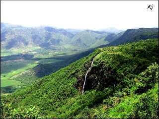 Tourist Places in Thekkady 4