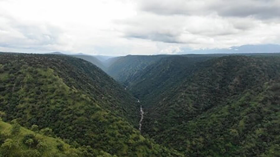 Bandipur National Park
