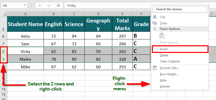 Insert Rows in Excel
