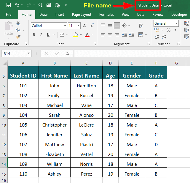 Using the “F12” Shortcut Key-File Name 