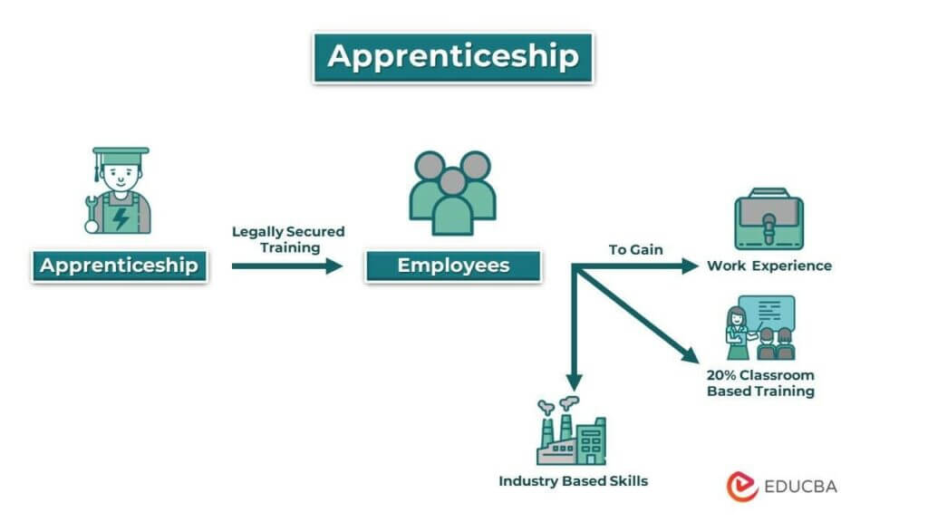Apprenticeship Definition, Types, Examples (2023 Updated)