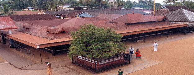 Chottanikkara Devi Temple