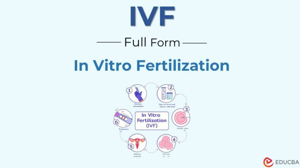 Full Form of IVF | How and When IVF is Done, Benefits, Risks