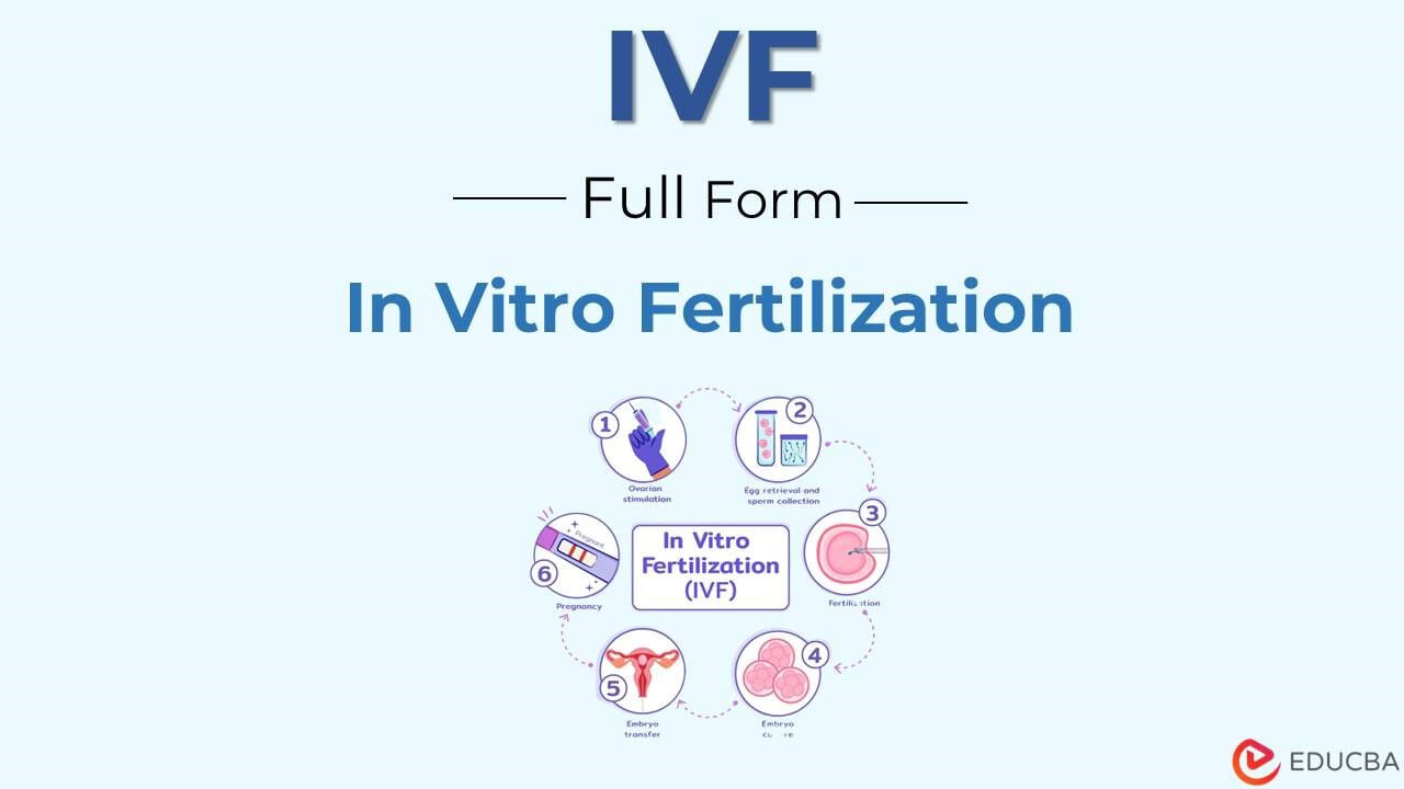 Full Form of IVF