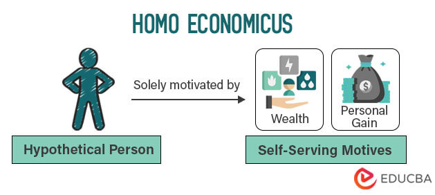 Homo-Economicus