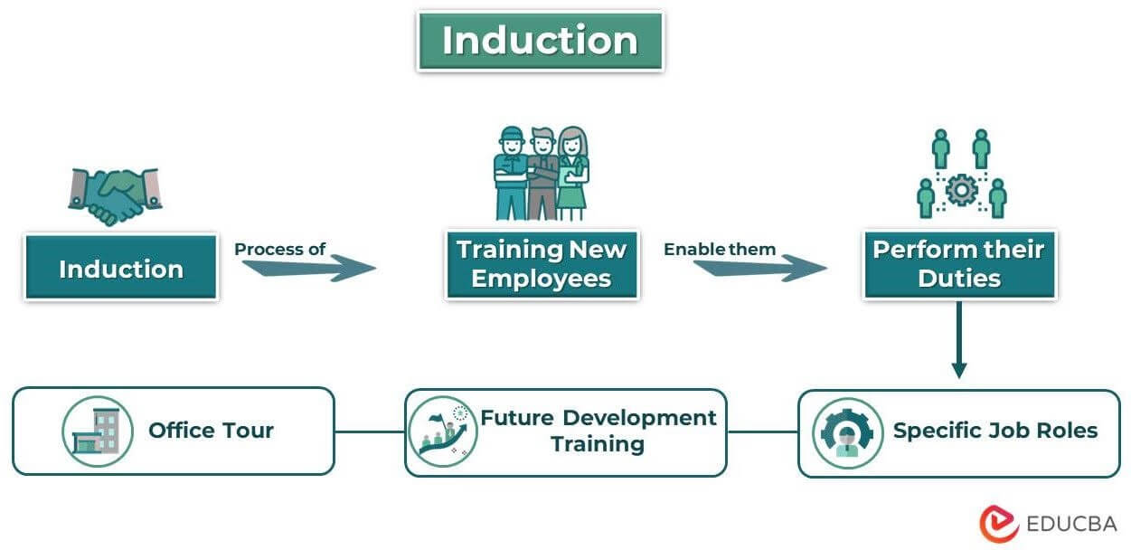 Induction  Definition, Stages, Process, Checklist (2023 Updated)