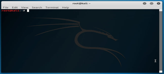 Kali Linux Terminal