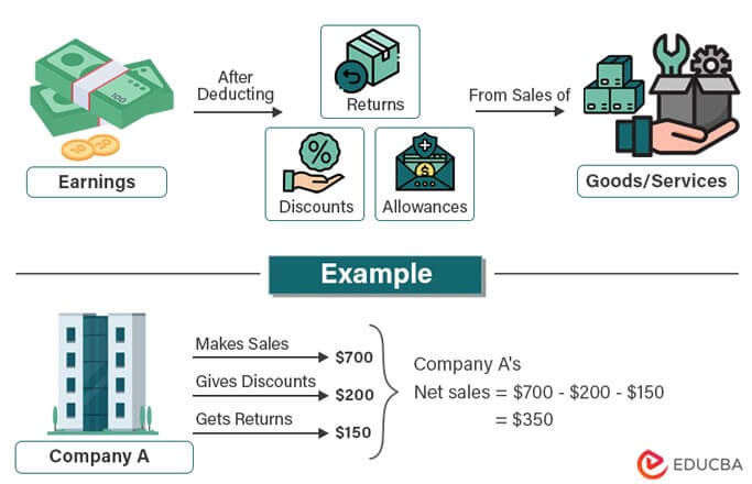 Net Sales