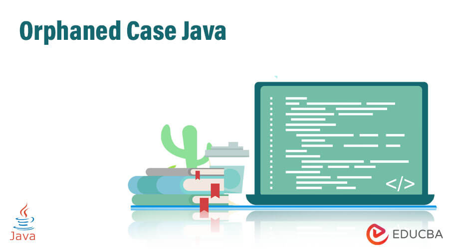 Orphaned Case Java