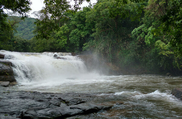 Tourist Places in Thodupuzha - Thommankuthu Waterfalls
