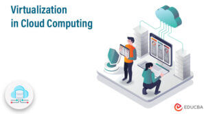 Virtualization in Cloud Computing | Working and Types of Virtualization