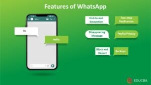 essay on advantages and disadvantages of whatsapp in hindi