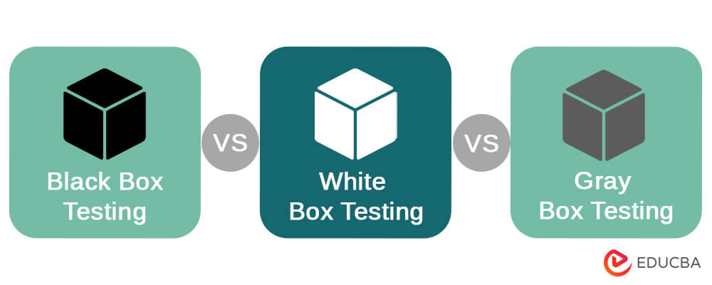 Black box testing vs White box testing vs Gray box testing